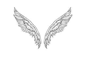 Engel Flügel Tinte skizzieren im Gravur Stil. Hand gezeichnet Kotflügel Vektor Illustration.