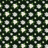 jasmin blommor sömlös mönster på mörk grön bakgrund design vektor