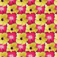 Hibiskus Blume nahtlos Muster im rot und Gelb Farben vektor