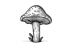 fliegen Agaric oder Amanita Pilze Gruppe wachsend im Gras Gravur Stil. Vektor Illustration.