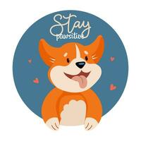Porträt von ein süß Corgi Hund und Beschriftung bleibe positiv. Baby drucken, Postkarte, Vektor