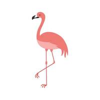rosa flamingo tecknad serie illustration isolerat i vit bakgrund. sommar djur- illustration vektor