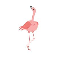 Rosa Flamingo Karikatur Illustration isoliert im Weiß Hintergrund. Sommer- Tier Illustration vektor