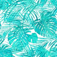 nahtlos Sommer- tropisch Muster mit Monstera plam Blätter. Vektor Illustration.