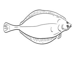 amerikan spätta fisk i ny England och mitten atlanten tecknad serie teckning vektor