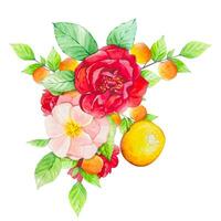 Obst Strauß mit Orangen, Pfirsiche, rot und Rosa Blumen. Aquarell vektor