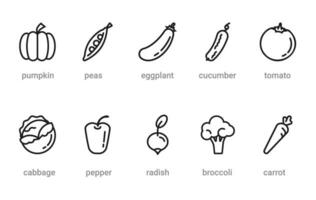 uppsättning av tio friska mat översikt ikoner, grönsaker symboler för webb och tillämpningar vektor