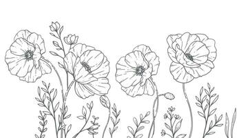 Blumen- Frames Linie Kunst, fein Linie Mohn Frames Hand gezeichnet Illustration. Gliederung Blätter und Blumen. vektor