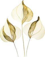 abstrakt mönster gyllene löv, boho stil. vektor