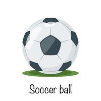 Fußball Fußballball vektor
