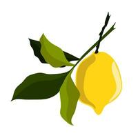 ett gul mogen citron- med en gren av löv vektor