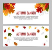 glänzendes Herbstlaub-Banner. Business-Rabatt-Karte. Vektor-Illustration vektor