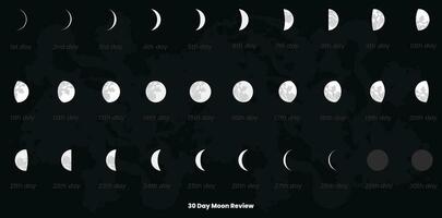 30 dag måne faser och måne kalender vektor