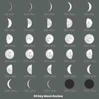 30 Tag Mond Phasen und Mond Kalender vektor