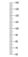 Kinder Höhe Diagramm von 60 zu 140 Zentimeter. Vorlage zum Mauer Wachstum Aufkleber isoliert auf ein Weiß Hintergrund. Vektor Illustration. Meter Mauer oder Wachstum Herrscher. Folge.