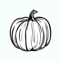 pumpa linje ikon. skörda symbol, logotyp. halloween begrepp. isolerat vektor illustration.