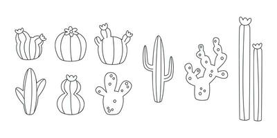 Hand gezeichnet linear Vektor Abbildungen von Kaktus