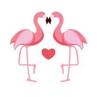söt flamingo kärlek bakgrund vektorillustration vektor