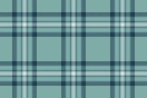 Tartan Plaid Textur von Stoff Vektor nahtlos mit ein prüfen Muster Textil- Hintergrund.