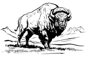hand dragen buffel. vektor illustration av tjur bläck skiss gravyr stil.