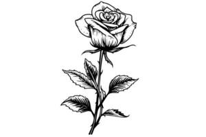 årgång reste sig blomma gravyr calligraphic .victorian stil tatuering vektor illustration