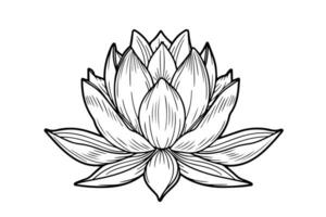 ein Lotus Lilie Wasser Blume im ein Jahrgang Holzschnitt graviert Radierung Stil Vektor Illustration.