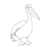 pelikan översikt ikon. hav fågel vektor linje illustration för färg bok