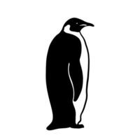 König Pinguin. einfarbig Vektor Illustration. realistisch Polar- Tier