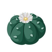 vektor illustration, lophophora williamsii eller peyote kaktus, isolerat på vit bakgrund.