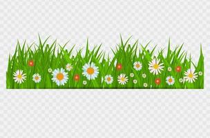 Brighgrass und Blumengrenze, Grußkartendekorationselement für Ostern auf einem transparenten Hintergrund. Vektor-Illustration saftiges grünes Gras auf einem transparenten Hintergrund. Vektor-Illustration.