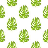 abstrakt tropisch Monstera Blätter nahtlos Muster. Urwald Palme Blatt dekorativ Hintergrund. vektor