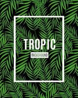 tropische Silhouette Hintergrundvektorillustration des schönen Palmenblattes vektor