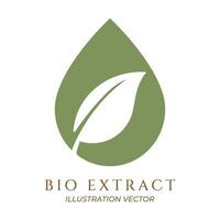 Natur Blatt Blätter Wasser Öl fallen Extrakt Kräuter- Symbol Design vektor
