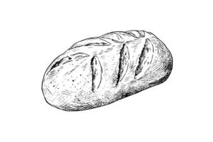 Laib von Brot. Vektor Hand gezeichnet Jahrgang Gravur Stil Vektor Illustration.