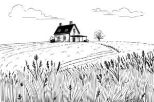 ländlich Landschaft mit ein Bauernhof im Gravur Stil. Hand gezeichnet Vektor Illustration