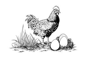 Artbord Vorlagehuhn oder Henne ist Schraffur Eier gezeichnet im Jahrgang Gravur Stil Vektor Illustration