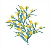 gren med gul blomma blommor i en hand dragen stil. vektor illustration på vit bakgrund