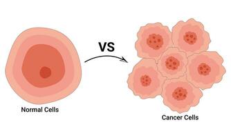 vanligt cell och cancer cell design vektor illustration