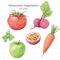 Aquarell Gemüse Satz, einschließlich Tomaten, Pfeffer, und andere Gemüse vektor