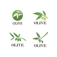 Olive Logo-Vorlage vektor