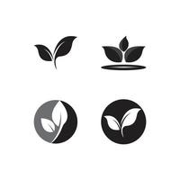 blad logotyp ekologi natur vektor