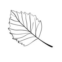 hasselnöt blad enkel ikon i skiss stil. kläckt löv för förpackning eller etiketter vektor