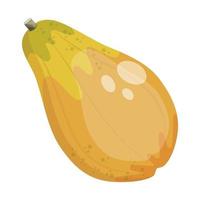 papaya frukt, vektorillustration vektor
