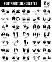 svart djur- spårning fotspår. isolerat vild djur- tassar grafik, ödla, krokodil och katt. reptil och fågel fötter, anständig vektor jägare uppsättning