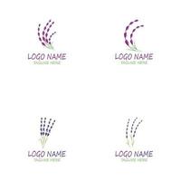 lavendel blommig aromatisk logotyp vektor ikon illustration design