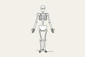 Farbe Illustration von ein Mensch Skelett Stehen hoch vektor
