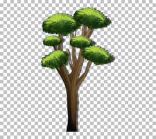 ein Baum mit grünen Blättern vektor