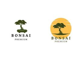 årgång bonsai träd logotyp design inspiration. vektor illustration av estetisk bonsai och inlagd växter.