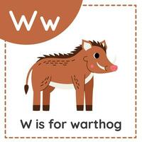 Lernen Englisch Alphabet zum Kinder. Brief w. süß Karikatur Warzenschwein vektor