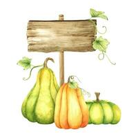 hölzern Schild. Holz Tafel mit Orange und Grün Kürbisse und Blätter. Herbst Information Tafel. Aquarell Illustration. isoliert. zum Postkarten, Marketing, Einladungen. vektor